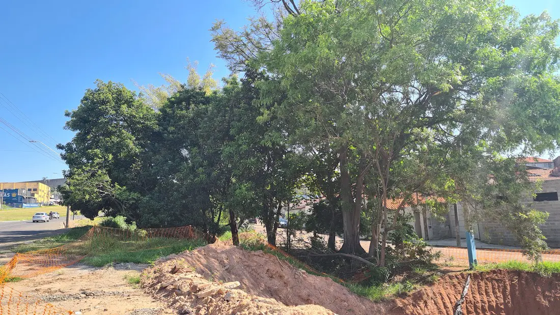 árvores vila labak