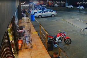 Câmera de segurança de posto flagra agressão contra cachorro, em Limeira 