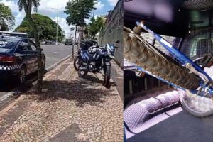 GCM recupera bicicleta e prende ladrão no Centro de Limeira