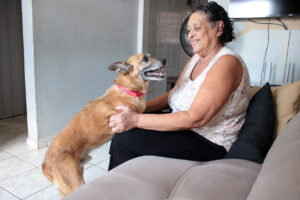 George, cão que passou a vida toda em abrigo de Limeira, ganha um lar