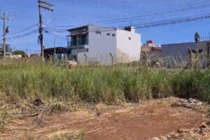 Mato alto em terreno no Jardim Morro Azul preocupa moradores da região