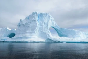 pesquisas brasileiras ajudam a entender vida na Antártica