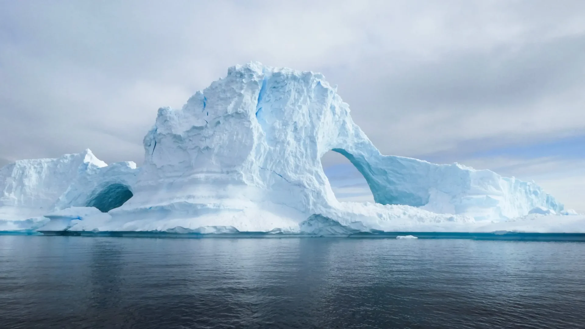 pesquisas brasileiras ajudam a entender vida na Antártica