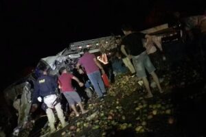 Acidente entre ônibus e caminhão deixa 25 mortos na Bahia