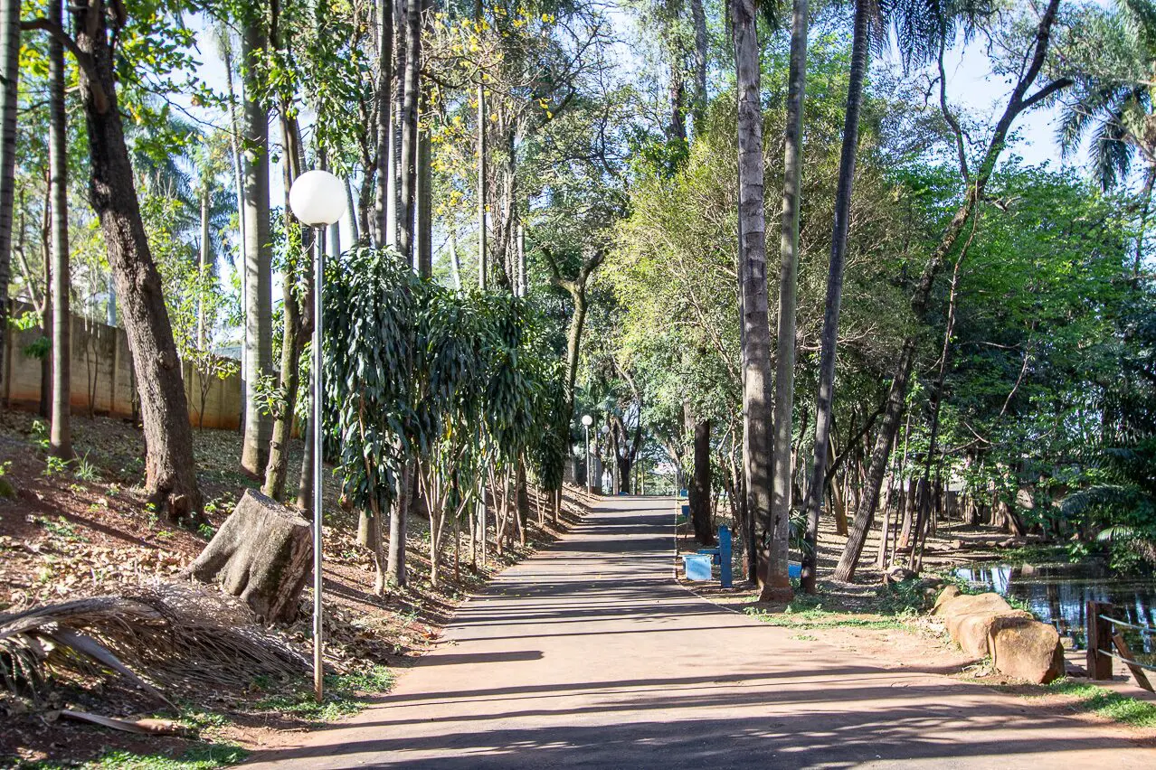 Bosque Prefeita Maria Thereza ficará fechado para manutenção