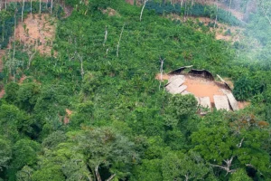 Desmatamento em áreas protegidas da Amazônia cai 73% em 2023