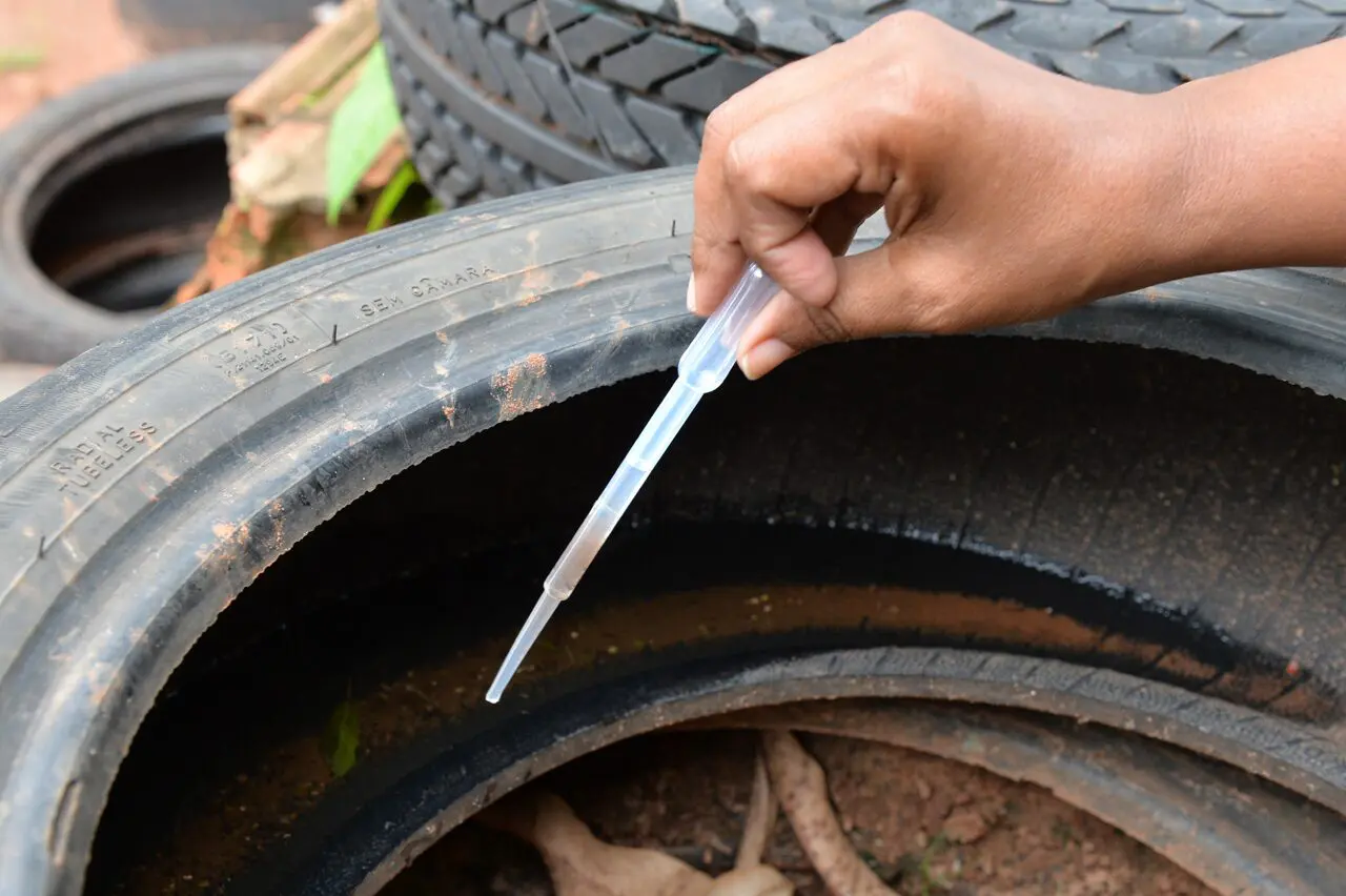 Limeira registra 1.793 advertências para limpeza de imóveis em 2023