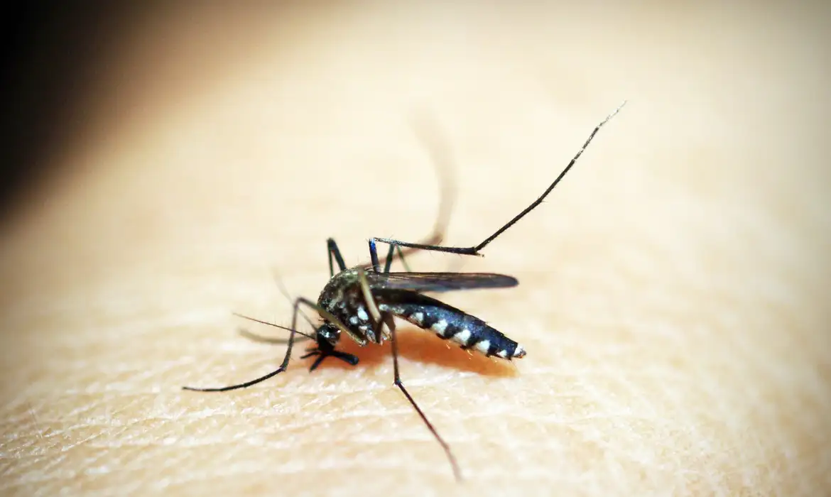 Em ofício, USTL manifesta preocupação com o avanço da dengue