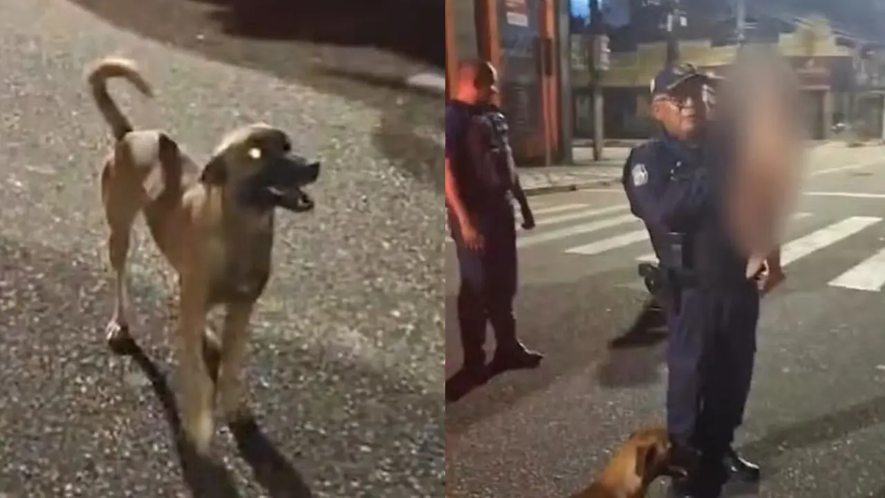 momento-em-que-a-guarda-civil-de-belem-encontrou-o-bebe-que-fugiu-de-casa-e-o-cachorro-caramelo