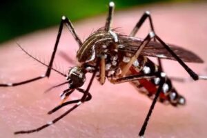 Homem morre por suspeita de dengue em Limeira
