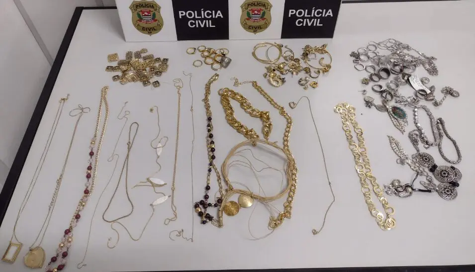 Idoso é vítima de brutalidade durante roubo em residência; suspeito é preso pela DIG