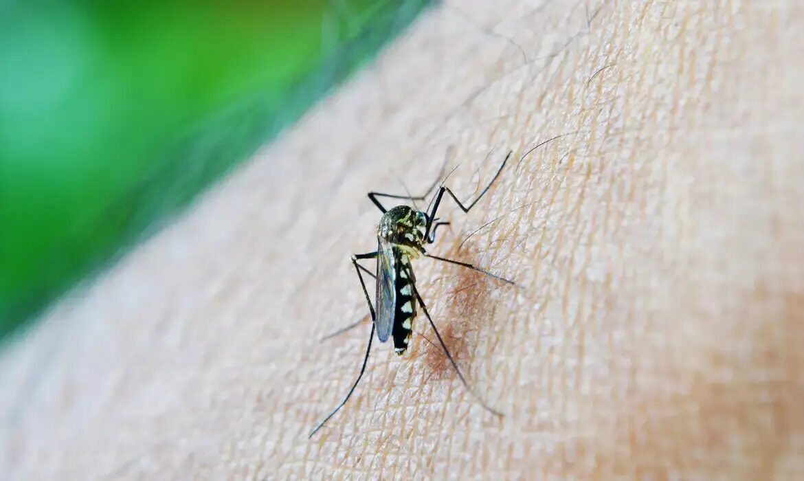 Limeira confirma primeira morte por dengue em 2024