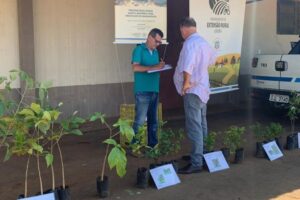 Limeira lança projeto que incentiva plantio de árvores com reflexos na produção de água