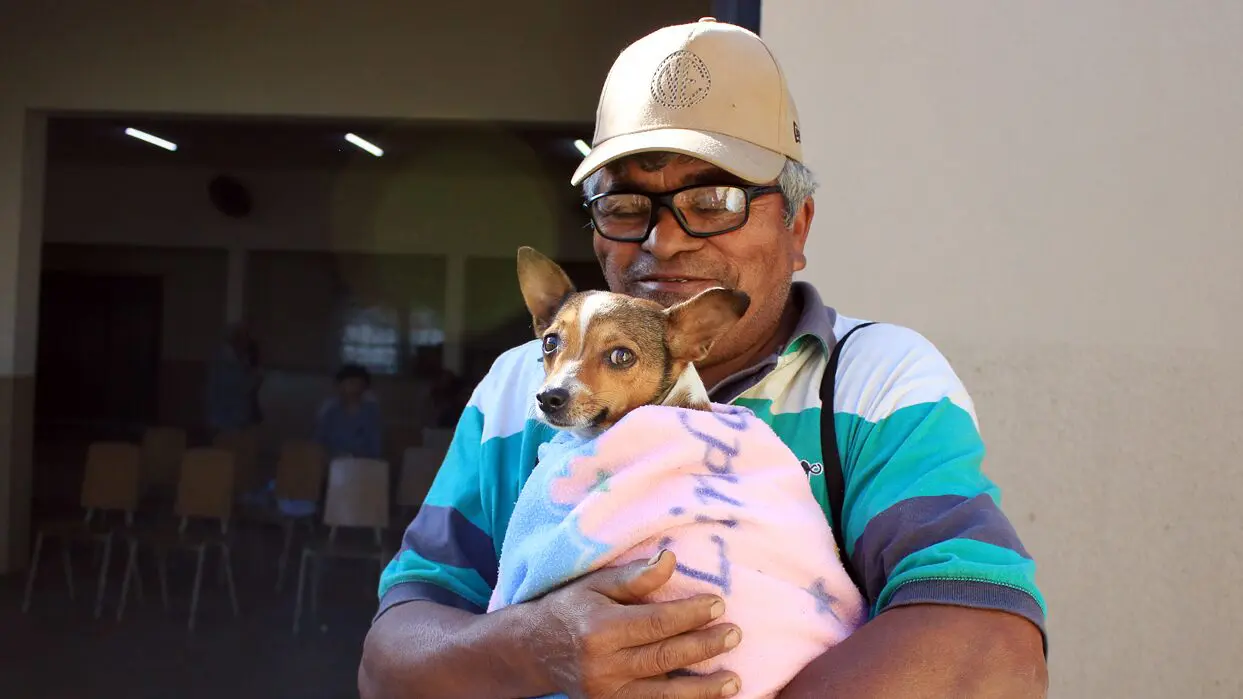 Jd. Santa Adélia receberá mutirão de castração e 'Prefeito no Bairro'