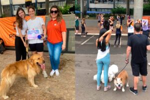 Pandora Educacional realiza 3ª Caminha com Famílias e Pets neste sábado (23)