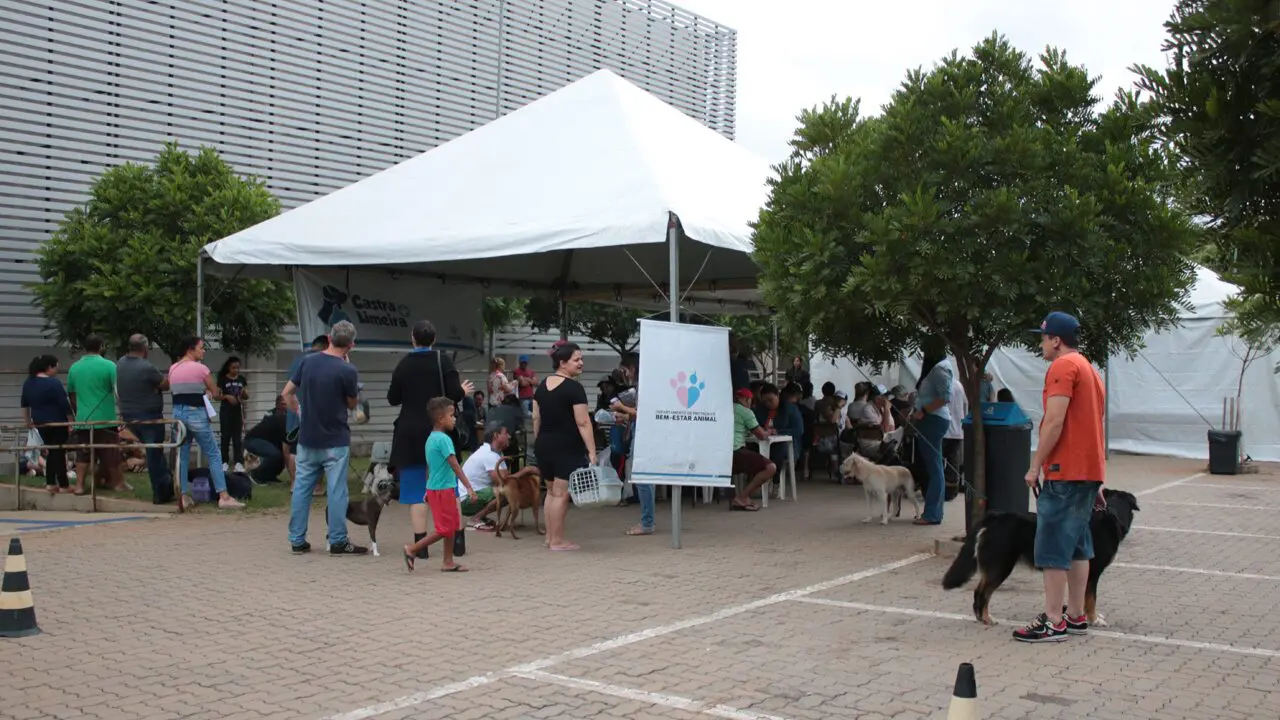 Programa Castra + Limeira passa de 6 mil castrações