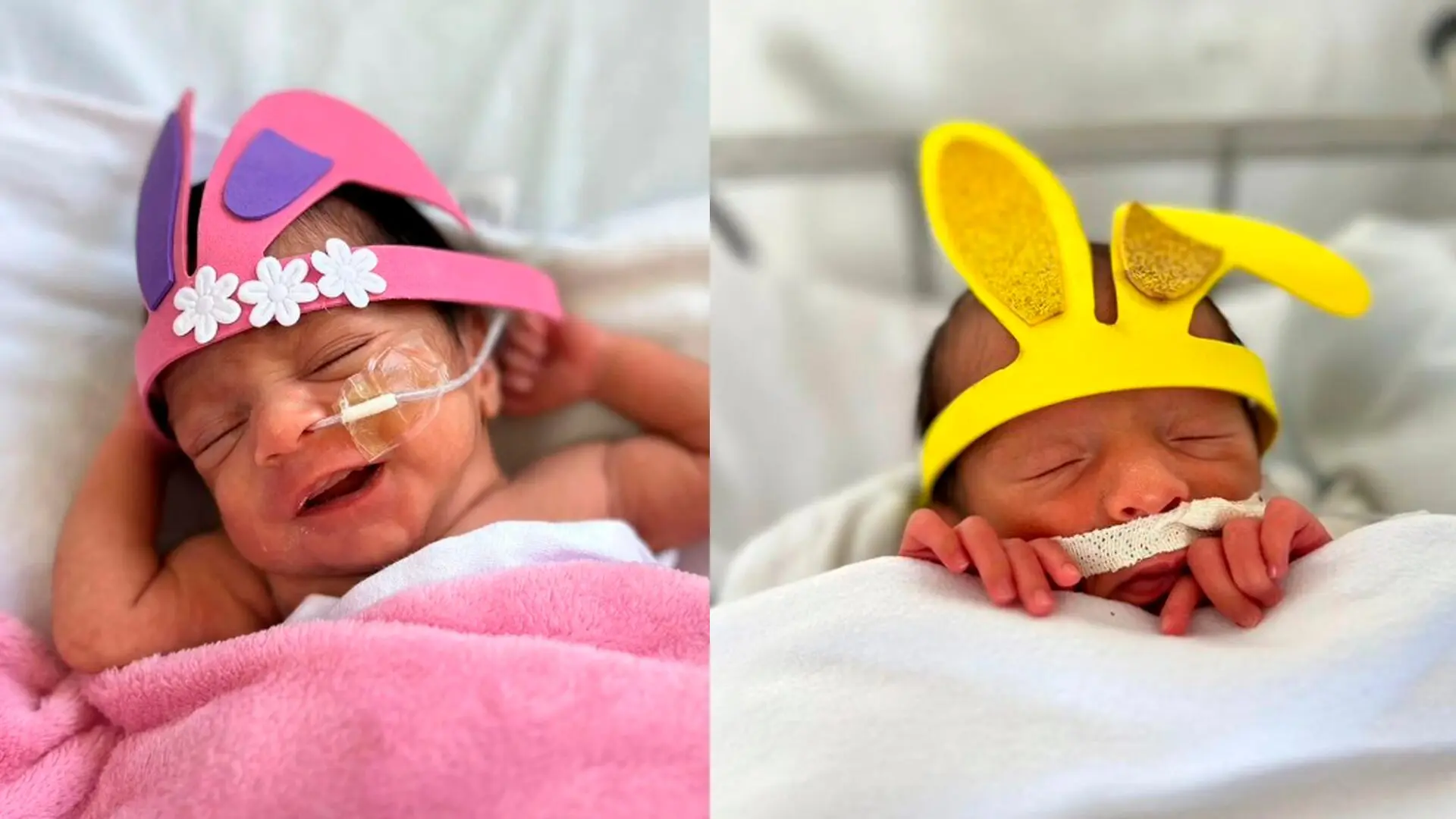 Bebês da UTI Neonatal da Santa Casa de Limeira celebram 1ª Páscoa