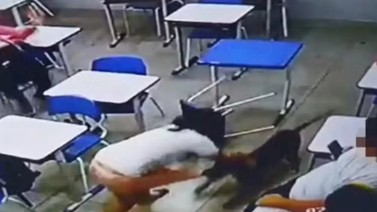 Cachorro-ataca-menina-de-12-anos-dentro-da-sala-de-aula