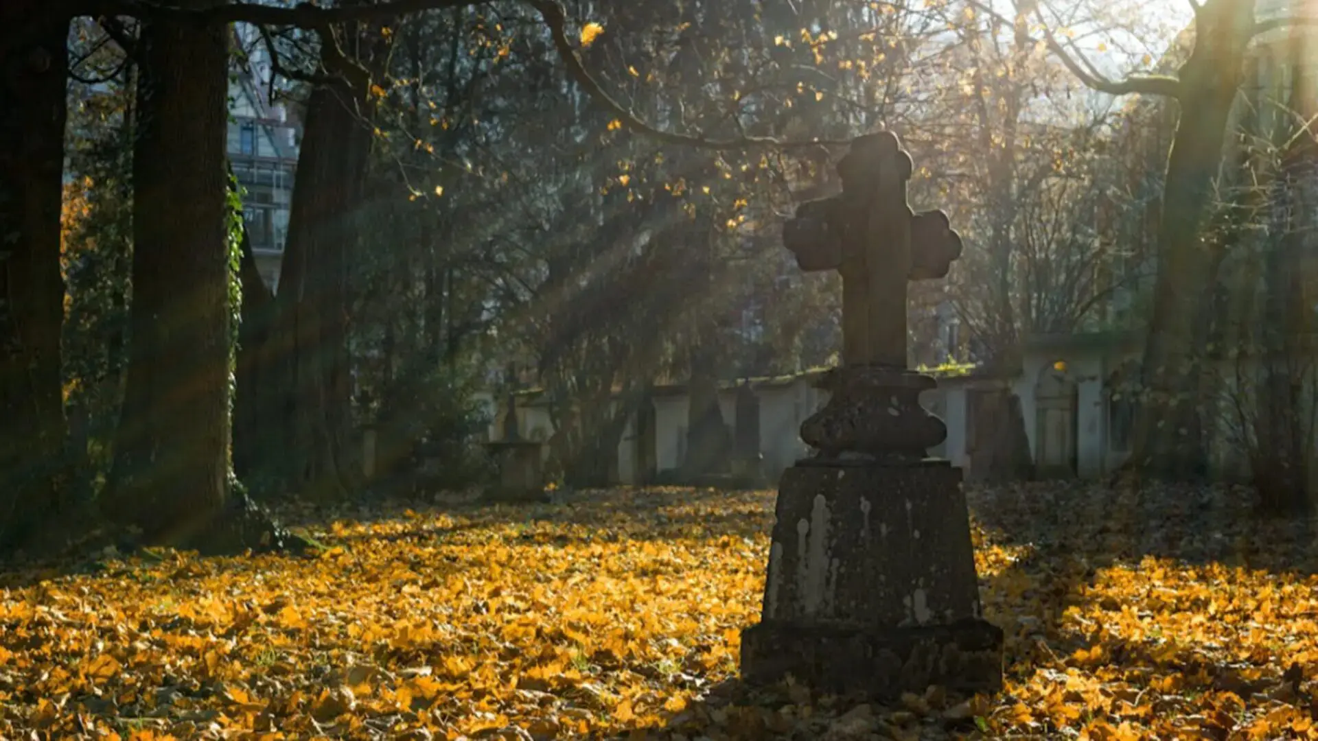 Confira o obituário de hoje, 28 de abril de 2024