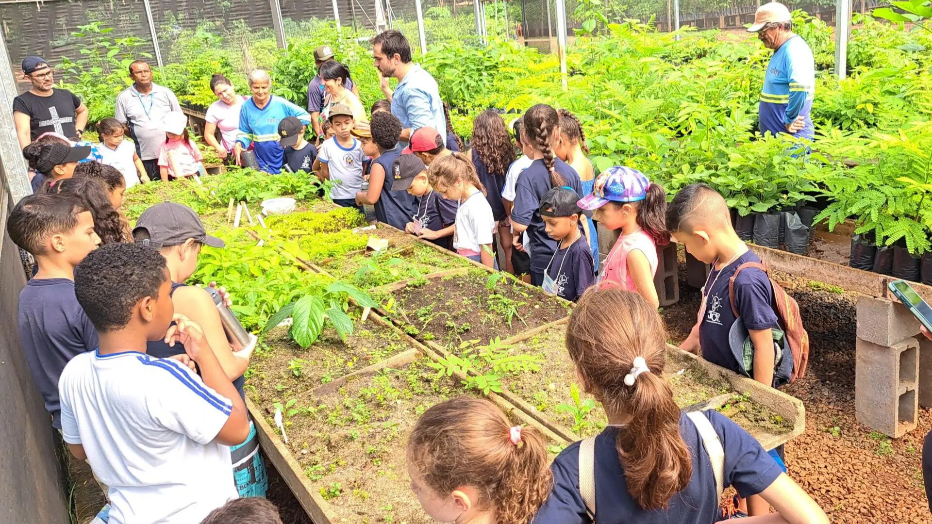 Estudantes fazem visita monitorada ao Viveiro de Mudas