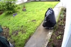 Inusitado bandido se disfarça de saco de lixo, rouba encomenda