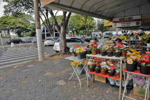 Meio Ambiente orienta ambulantes sobre venda de flores no Dia das Mães