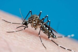 Limeira registra mais duas mortes por dengue