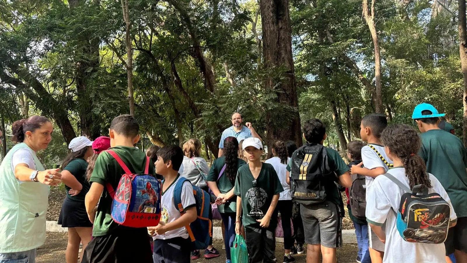 No-Parque-Cidade-alunos-conhecem-importancia-das-abelhas-nativas-sem-ferrao