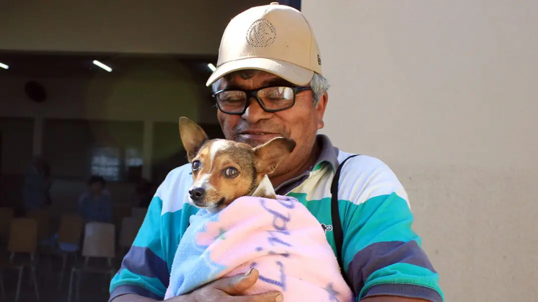 Belinha-Ometto-recebe-mutirao-de-castracao-gratuita-no-fim-de-semana