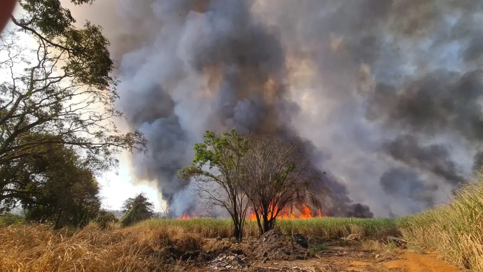 Defesa-Civil-aponta-risco-alto-de-incendios-em-Limeira-2
