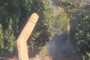 Incendio jardim anhanguera