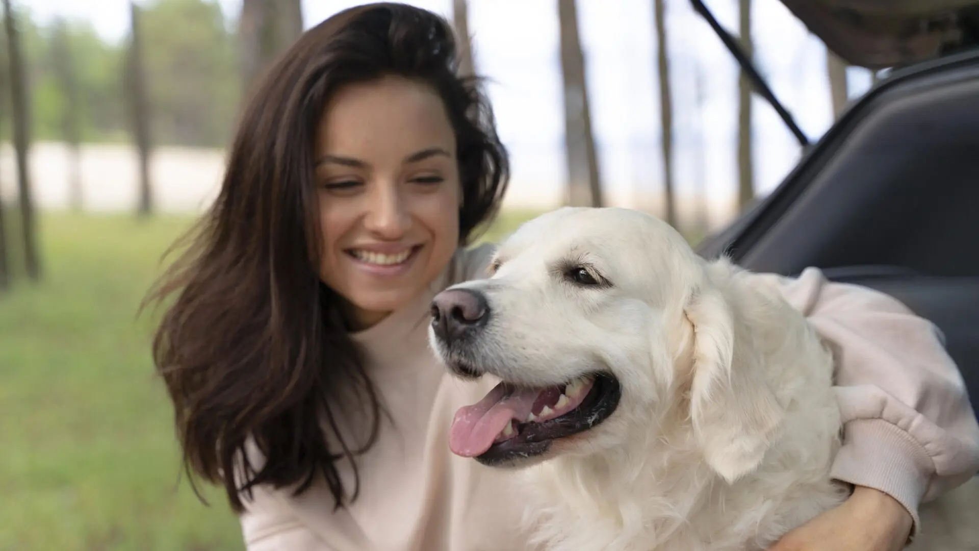 Férias com animais de estimação: conheça os destinos paulistas ‘pet friendly’