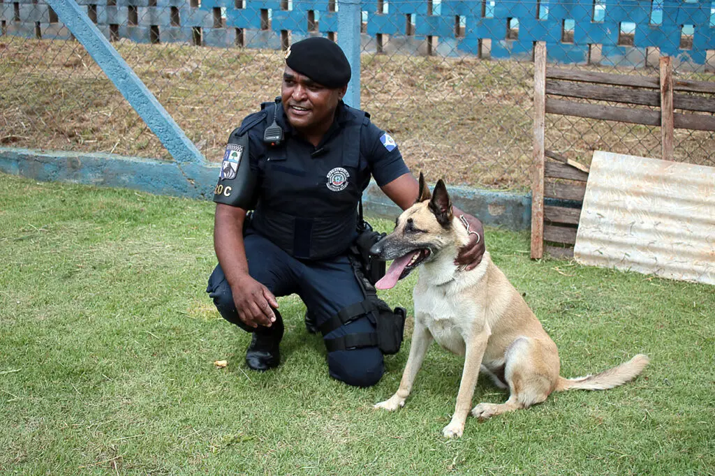 Parque-Cidade-recebe-campeonato-de-caes-farejadores-evento-marca-aposentadoria-da-cadela-Safira