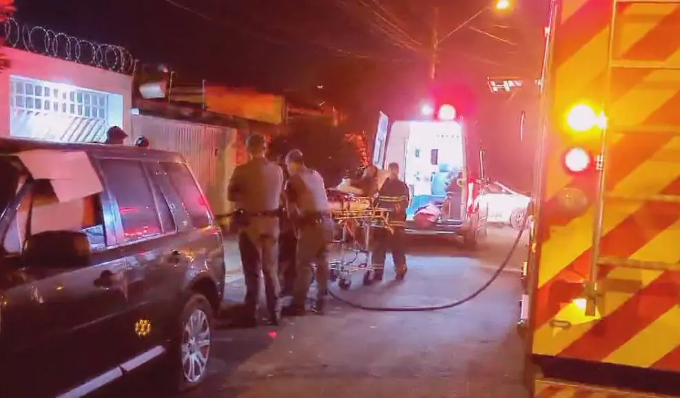 Pitbull-que-atacou-familia-e-recolhido-pela-Zoonoses