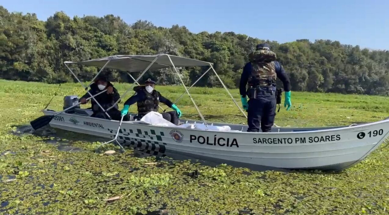 63-toneladas-de-peixes-mortos-foram-retirados-do-Rio-Piracicaba