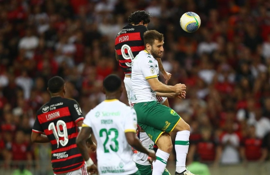 Flamengo, Botafogo e Palmeiras disputam o topo do Brasileirão