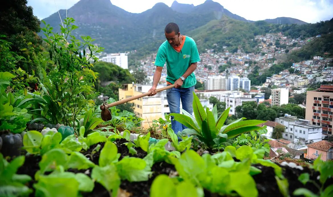 Nova-lei-pretende-estimular-a-producao-de-alimentos-nas-cidades