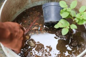 Brasil-ultrapassa-marca-de-5-mil-mortes-por-dengue