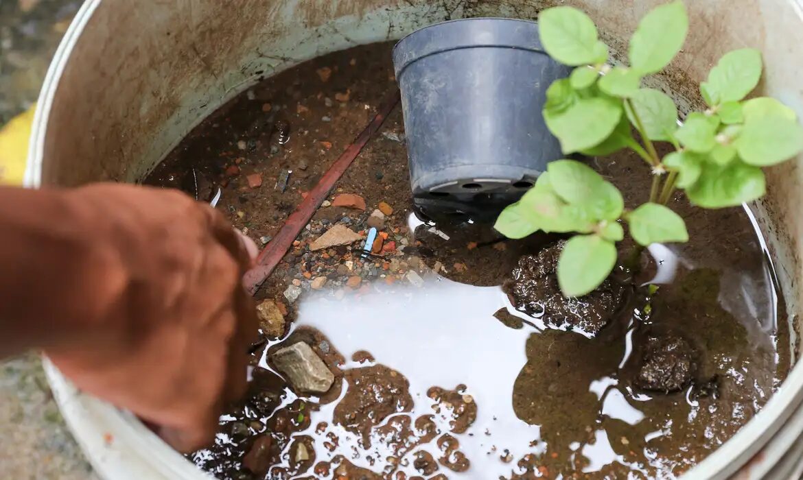 Brasil-ultrapassa-marca-de-5-mil-mortes-por-dengue