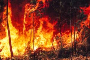 Defesa Civil de SP alerta para risco de incêndios em quase todo o território de SP