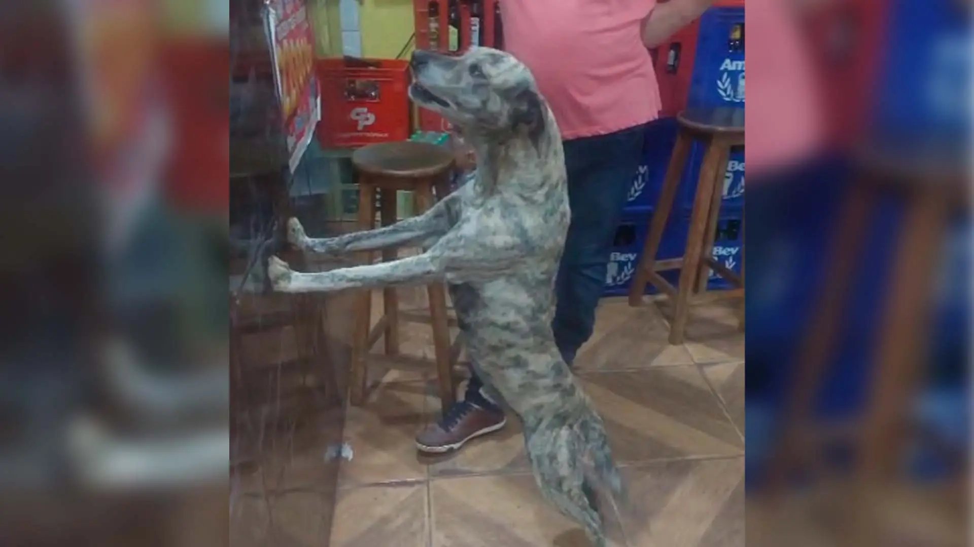 Laudo aponta que facada perfurou coração e pulmão de Tigrinho2