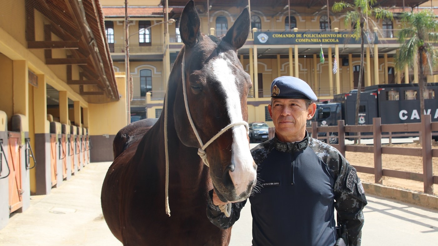 Sargento sonha em ter cavalo aposentado da PM depois de conviver com o animal por 14 anos