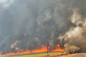 incêndios
