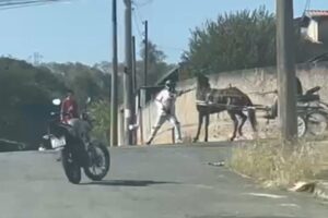 Alpa denuncia agressão de motociclista a cavalo no Anavec, em Limeira 