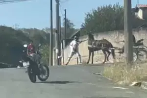 Alpa denuncia agressão de motociclista a cavalo no Anavec, em Limeira