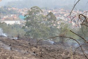 Estado de São Paulo amanhece com 11 focos de incêndio