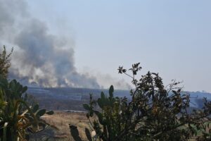 Incêndio atinge área de mata na Estrada da Balsa, em Limeira