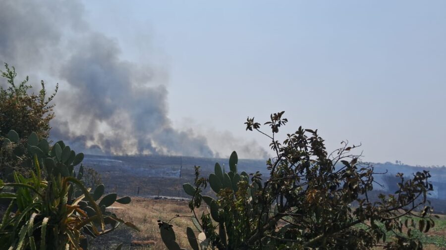 Incêndio atinge área de mata na Estrada da Balsa, em Limeira