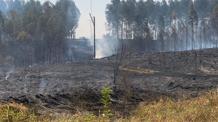 Incêndio de grandes proporções atinge área rural de Limeira