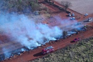 Cinco municípios paulistas estão com foco de incêndio ativo